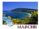 MARCHE