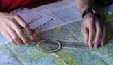 i viaggi del gusto travel organizer